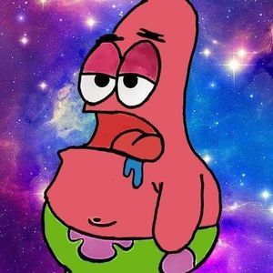 Meet your Posher, Wyatt